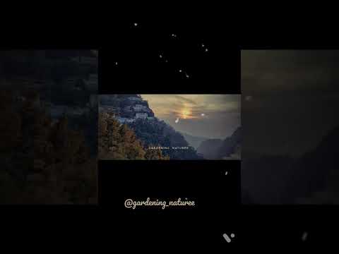 Landscapes ☁️🌼#green #entertainment  #short #hashtag #music #classic #edits #photo #flowers