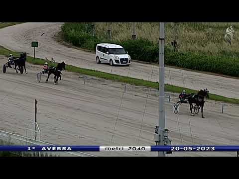 Aversa trotto 20 Maggio 2023 - 1° Corsa