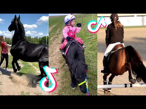 🐴 CUTEST & FUNNIEST Horse TikTok Compilation | Equestrian & Viral Moments! #4