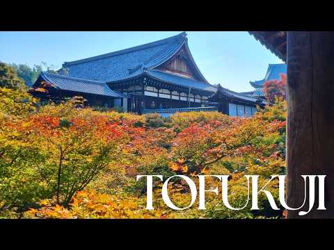 Kyoto Autumn: Tofuku-ji Temple Fall Foliage Guide (Must-See Japan)