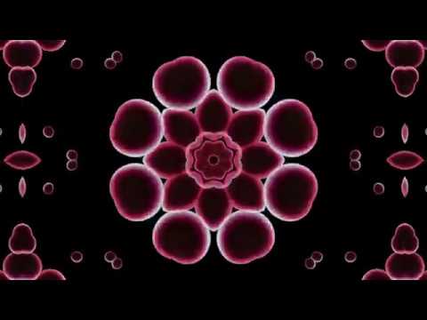 Zota Layer - hilltop