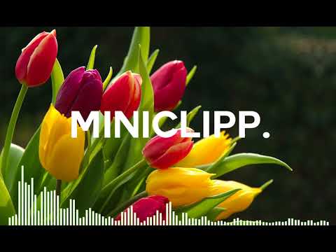 Raphael West ft. Neil Thomas - Break These Chains