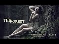 The Forest Chill Lounge Vol. 6 - Continuous DJ Mix ...