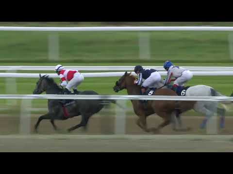 2019.09.22 Tattersalls Nickes Minneslöpningl (SWE) - Duca Di Como