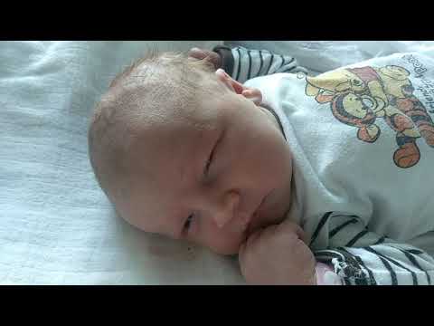 Pierwsze spojrzenia Julki