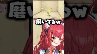 貰ったユニコーンを磨くエマたそに笑いが止まらないねこたつ【猫汰つな/トモダチコレクション わくわく生活】