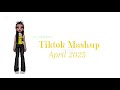 Tiktok Mashup April 2025 NOT CLEAN