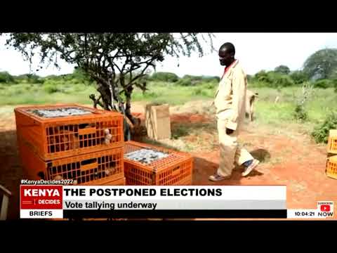 Chicken exports | Kenya targeting Malaysia and Mauritius