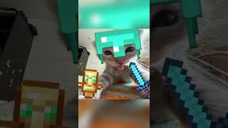 RANKING FUNNIEST MINECRAFT MEMES | #minecraft #memes #shorts