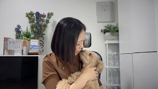 【日本保守党百田激怒！河村たかし「保守党はカネばかり」！】ひろゆき「5億どう使った？」百田「カネない」？！