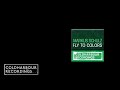 Markus Schulz - Fly To Colors | Signalrunners Remix