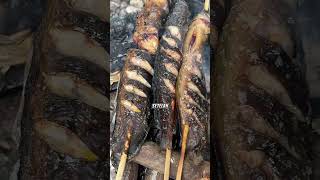 Download lagu masak makan di pinggir sungai fishing and cooking #jemodusuntv mp3 Download lagu masak makan di pinggir sungai fishing and cooking #jemodusuntv mp3