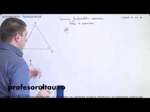 teorema fundamentala a asemanarii definitie - profesorultau.ro