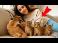 I Raised A WILD Caracal Like A House Cat Look At Him NOW