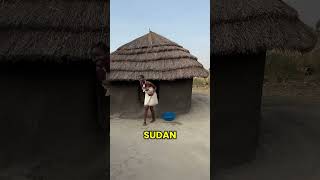 Nilotica shea butter