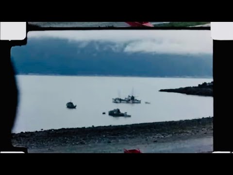 'Colour Of The Rain' by Oisin Leech [Official Lyric Video] - Feat. Steve Gunn and Tony Garnier.