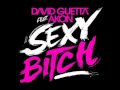 David Guetta feat. Akon - Sexy Bitch [Lyrics in ...
