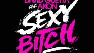 David Guetta feat. Akon - Sexy Bitch [Lyrics in Description]