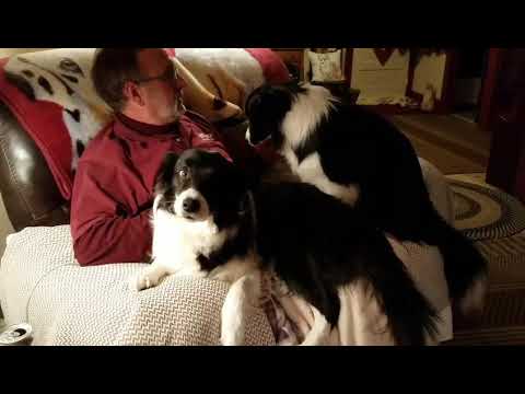 Daddy Lovin His Black & Whites