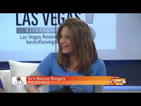 Best Of The West 2-Day Craft Festival