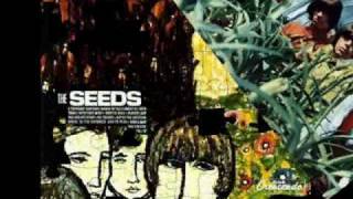 Sky Saxon - Return Of The Sixties