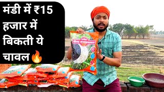 काला नमक धान की खेती🔥Kala Namak dhaan ki kheti | Kala Namak Rice Farming | Kala Namak seeds online
