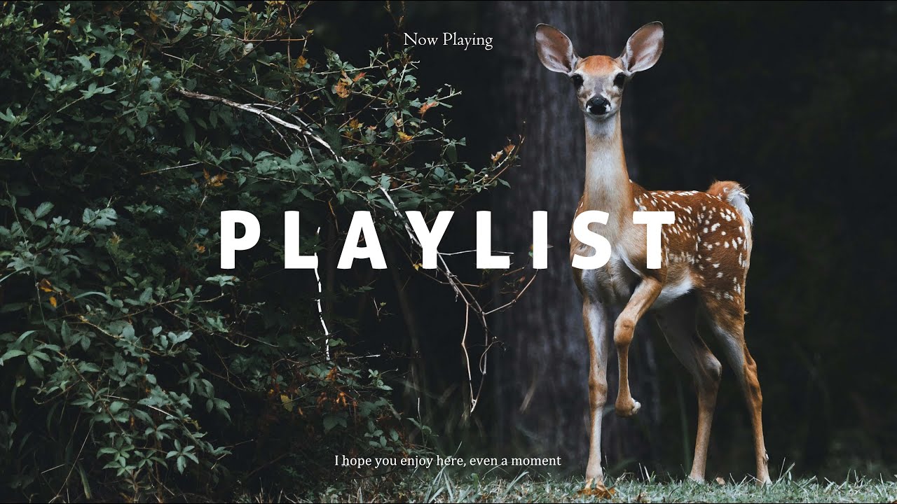 [Playlist] Cafe & Work & Study & Relax Music