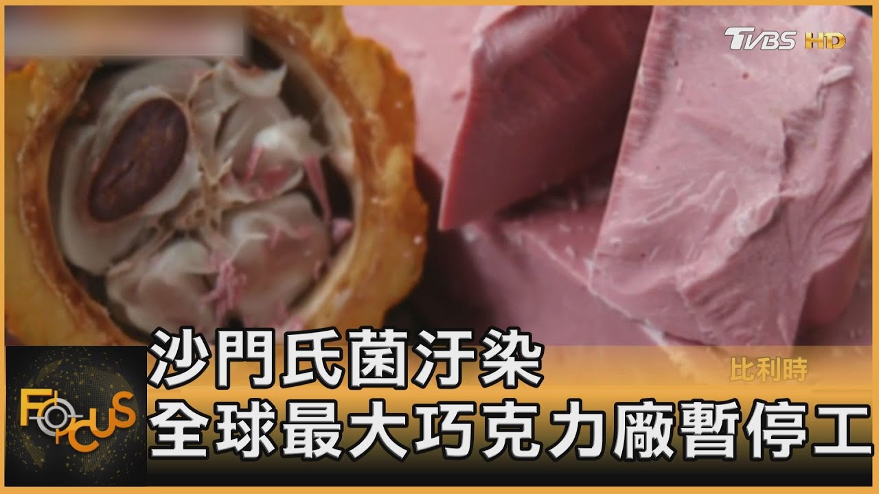 沙門氏菌汙染 全球最大巧克力廠暫停工