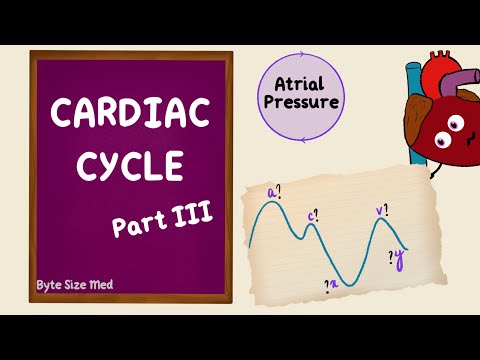 Cardiac Cycle | Atrial Pressure | Part 3 | Jugular Venous Pulse | JVP | Cardiac Physiology