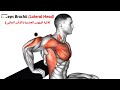Top 8 Best Triceps Exercises For Bigger Arms Ultimate Tricep Workout