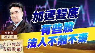 加速趕底 有些股法人不離不棄｜大戶羅盤籌碼動能 ｜謝宗霖