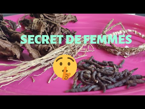 Secret de femmes | Feuilles de DJEKA, GONGOLI ET POIVRE LONG AFRICAIN