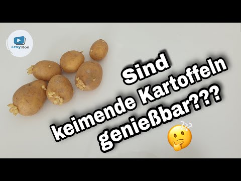 , title : 'Kartoffeln keimen - grüne Stellen & Triebe | giftig JA oder NEIN?!?'