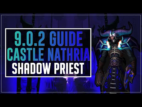 [Part 4: Castle Nathria] Shadow Priest Guide - Shadowlands 9.0.2 (PvE)