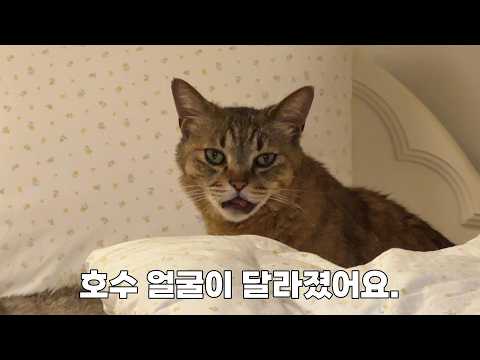 매력 포인트를 잃고 나흘만에 돌아온 막둥이 호수