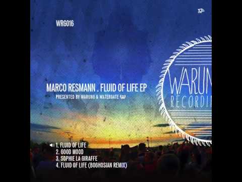 Fluid Of Life - Fluid Of Life EP - Marco Resmann (WRG016)