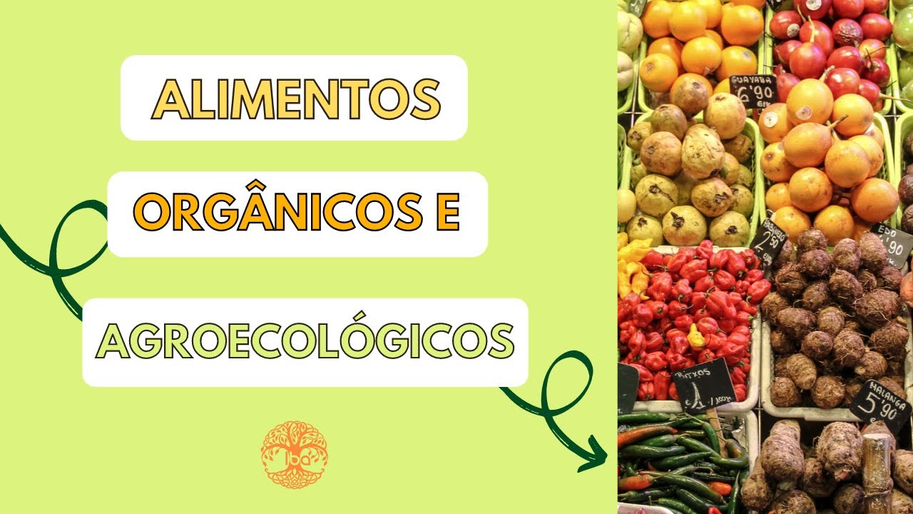 Alimento orgânico e agroecológico: tem diferença?
