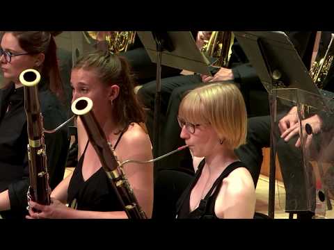 J. Sibelius: Violin Concerto in D minor, Op. 47 | Dan-Iulian Druțac