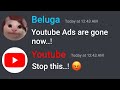 If Beluga Owns Youtube..