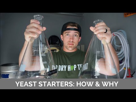 Yeast Starter: How & Why