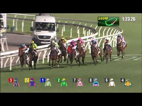 5/5/2021 (644) Sunny Star - A Badel