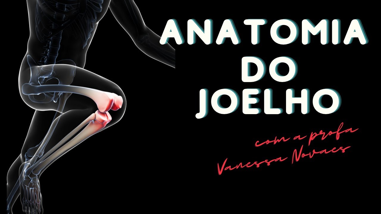 O joelho não é uma única articulação: anatomia do joelho como você nunca viu!