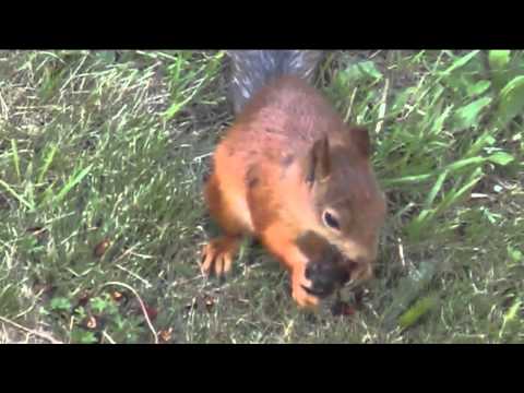 näin alko 1 lomapäivän aamu