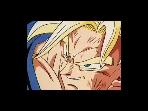 Goku VS Majin Vegeta!