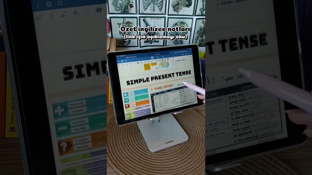 özet ingilizce notları pdf'i
