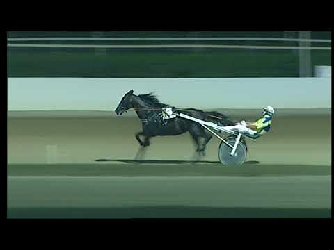 Napoli Trotto 30/07/2021 - 5ª corsa