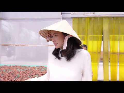 A história do Chocolate Ladolvita_Honrando o produto agrícola vietnamita