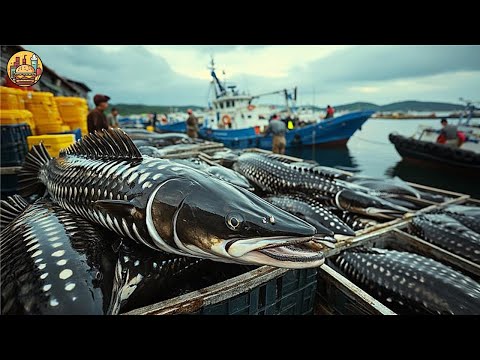 STURGEON CAVIAR FARM - How Sturgeon Caviar Is Farmed and Processed