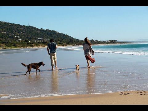 DANSER ENCORE- PACHAMAN - liberté de vivre (inspiration HK "danser encore ")