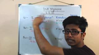 DNA polymerase 1, 2 and 3